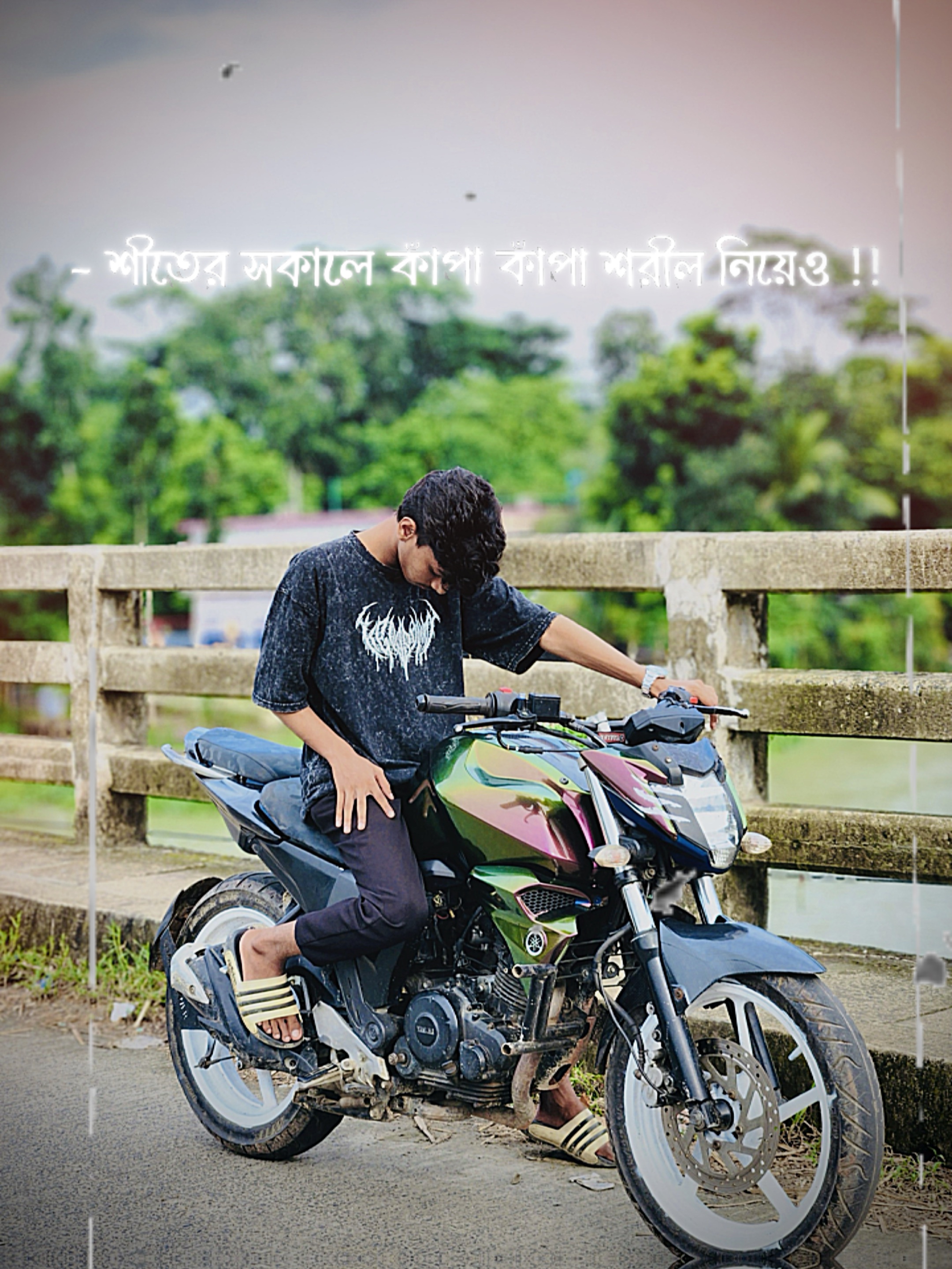 Cover Picture