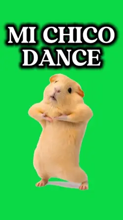 mi chico dance 