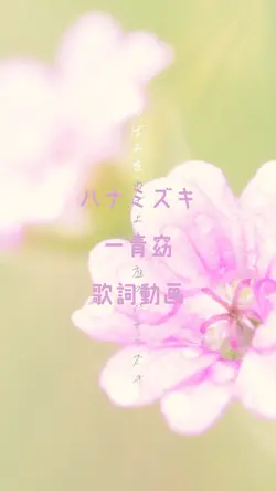 ハナミズキ
