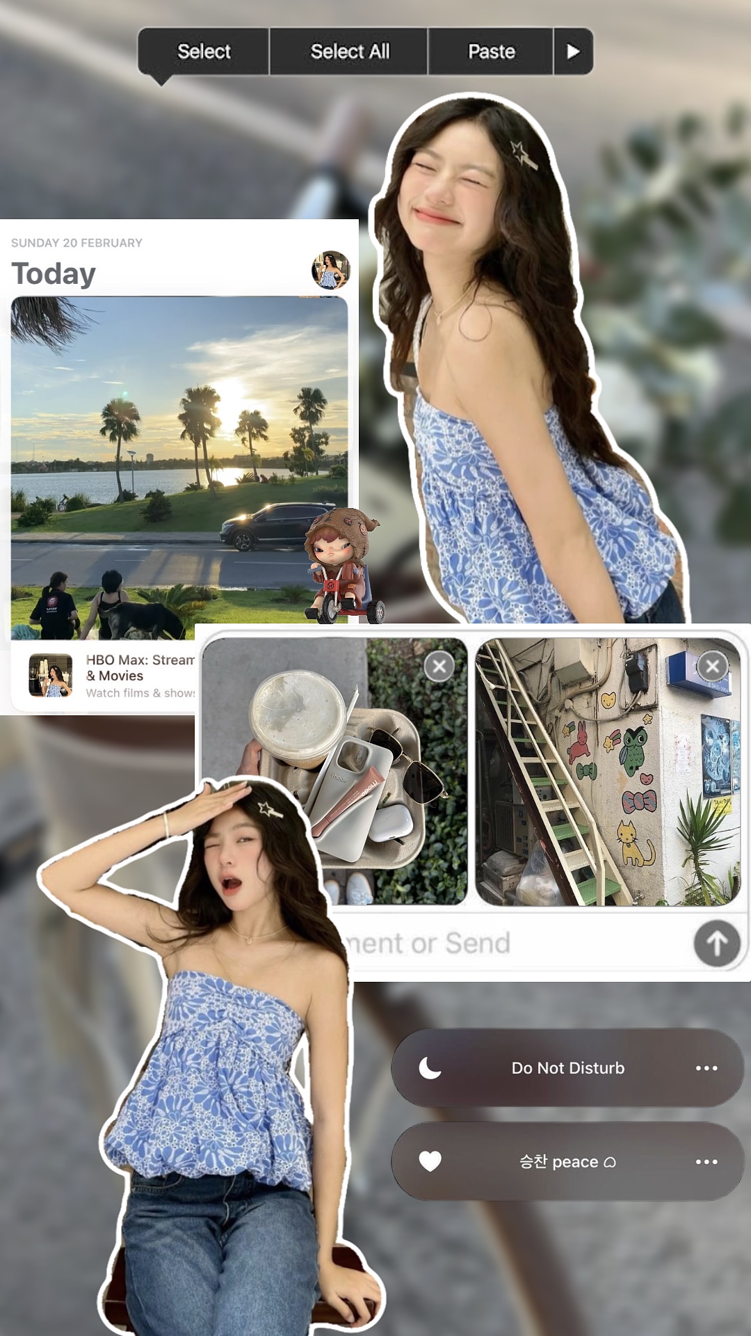 Cover Picture