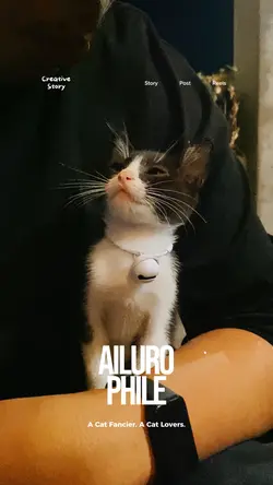Aesthetic: Cat Lover