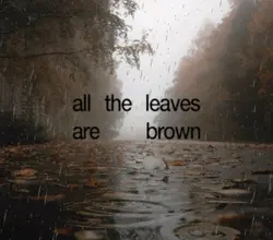 🍂 