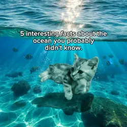 5 facts about ocean