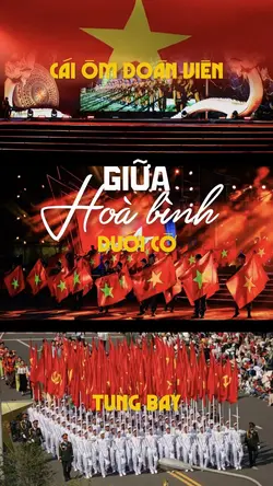 Giữa hoà bình anh tu