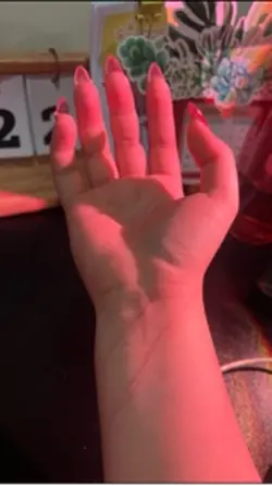 the art & the artist