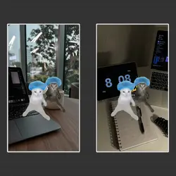 collab berdua