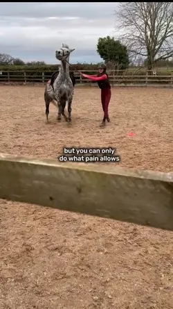 only do what pain al