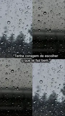 Frase motivação 