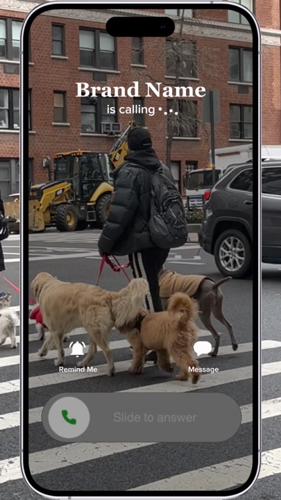 Perrito sentado