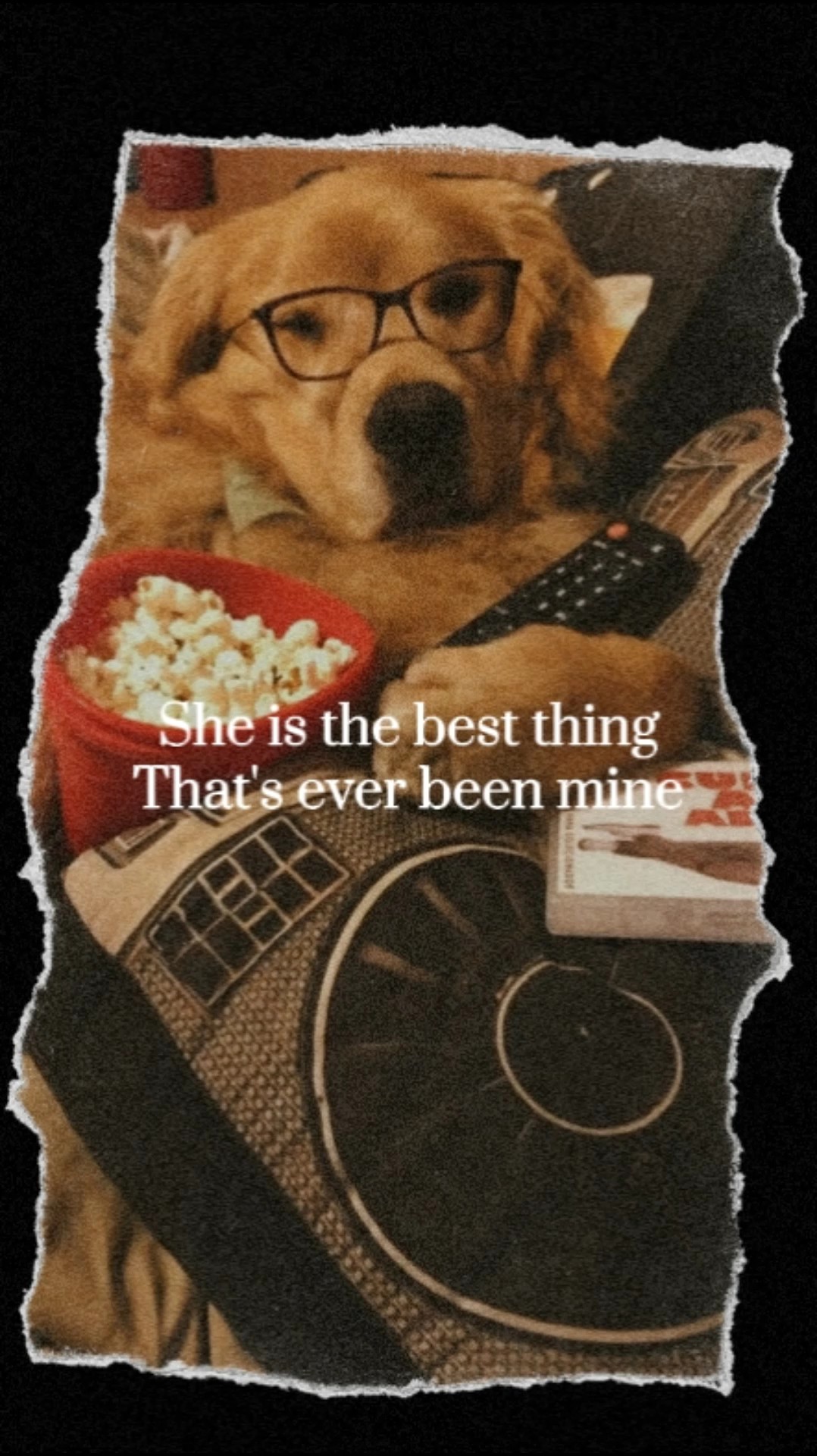 Mi Golden Retriever