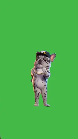 Puppy Dancing