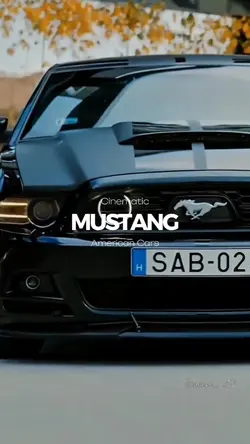 MUSTANG 