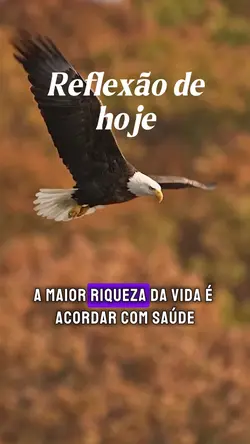 Reflexão de hoje