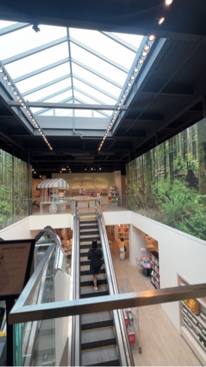 Carrete de la tienda