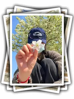 8Pic Frame Aesthetic