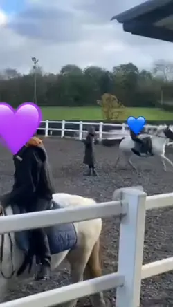 Horse fail! 