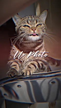 La La Lay 3รูป