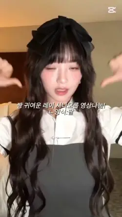 레이 영상 나눔