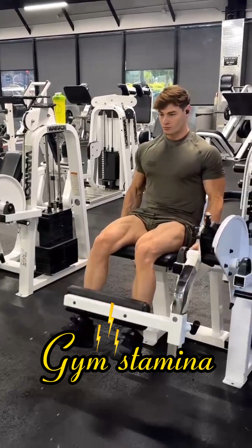 Gym/Fitness 