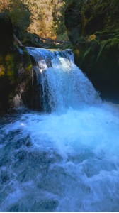 Seviyor