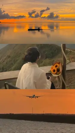 3 grid video