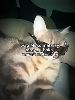 Wag ako