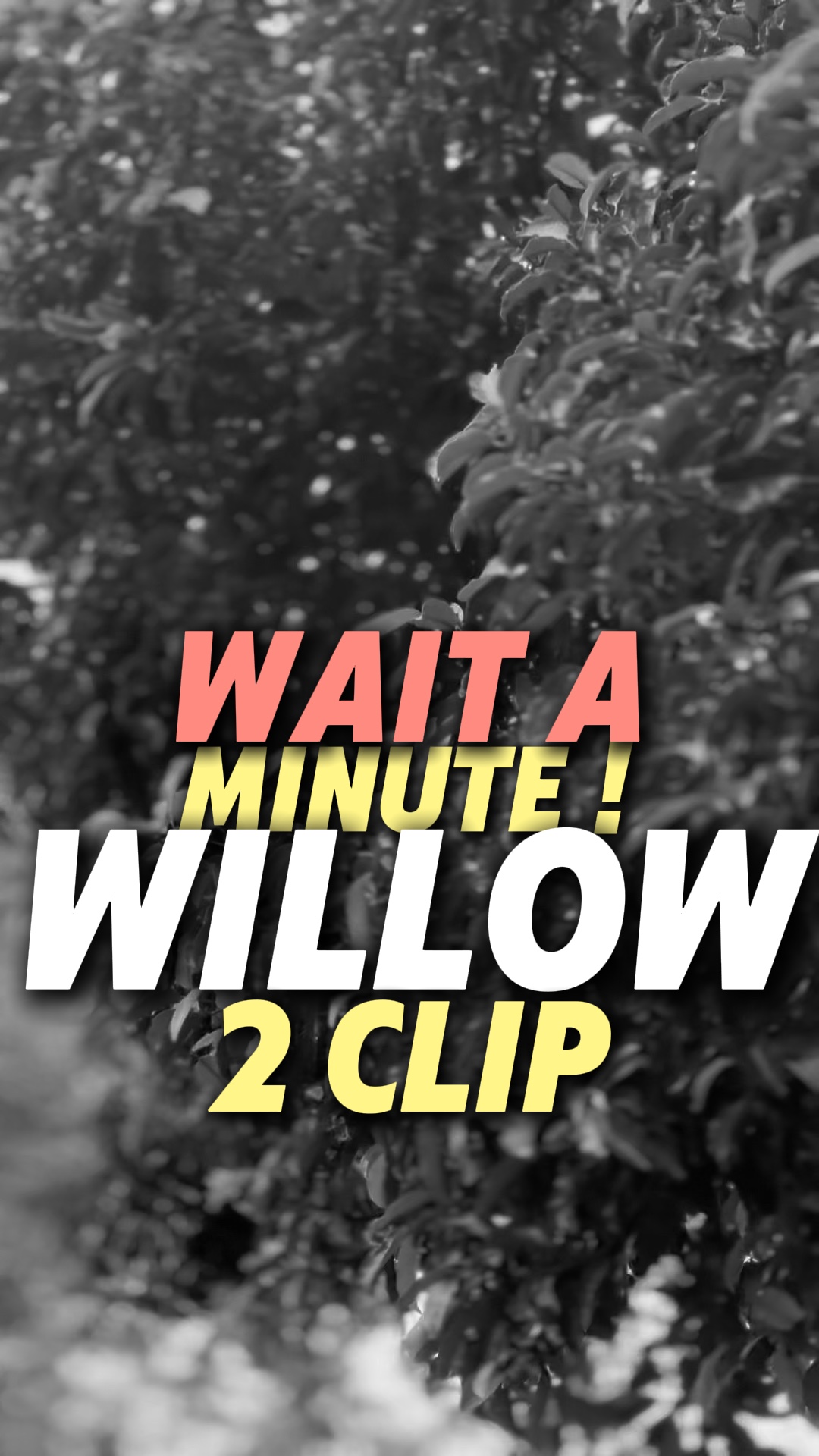 WaitAMinute