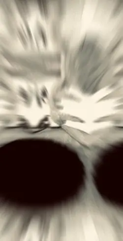 PaShTu Song🐾💆‍♀️