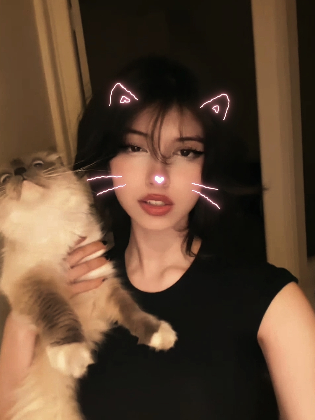트렌드 miau-miau v2