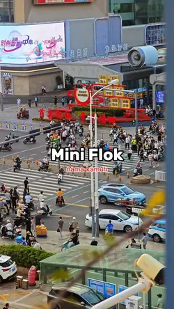 mini flok