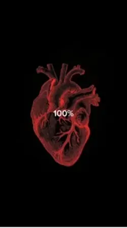 Cuore matto 