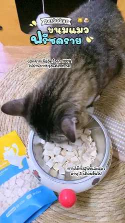 อกไก่ฟรีซดราย 