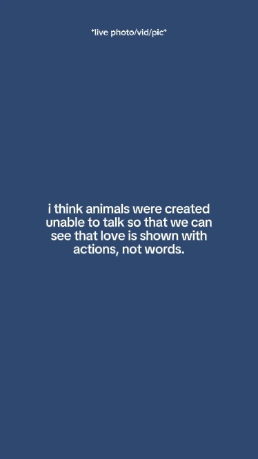 ithinkanimalswerecre