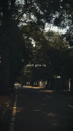 don't give up