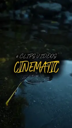 6 CLIPS VIDEOS