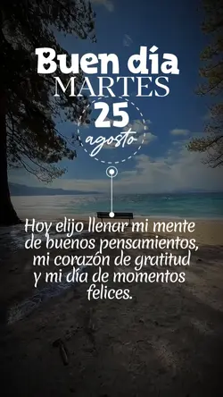 Martes 25/08 status 