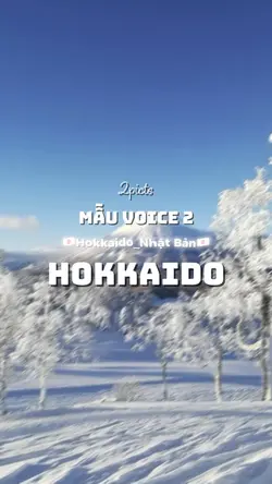 Mẫu 2 _HOKKAIDO