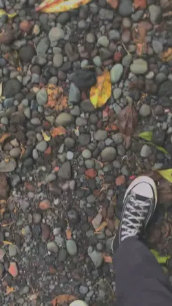 Slowmo Ransom