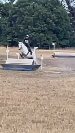 FAKE VIDEO | AI