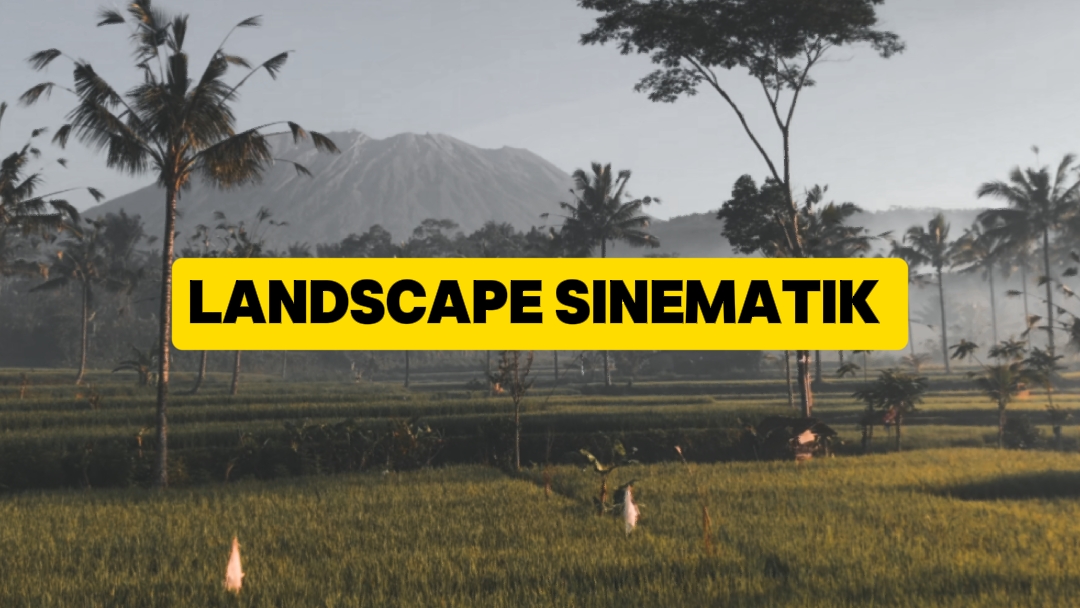 Landscape SINEMATIK 