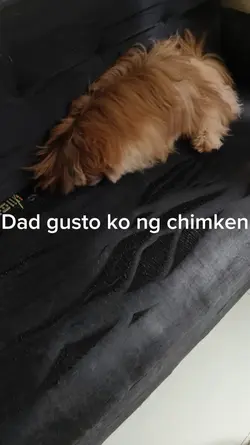 Gusto ko ng chimken 