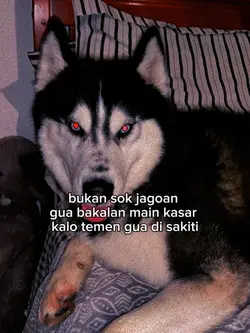 bukan sok jagoan