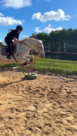 don’t look at me 👍😭