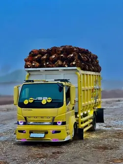 mobil canter