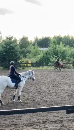 slowmo