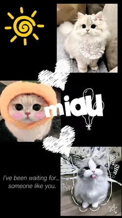 kucing miau