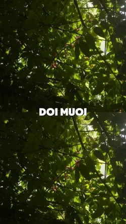 ĐÔI MƯƠI