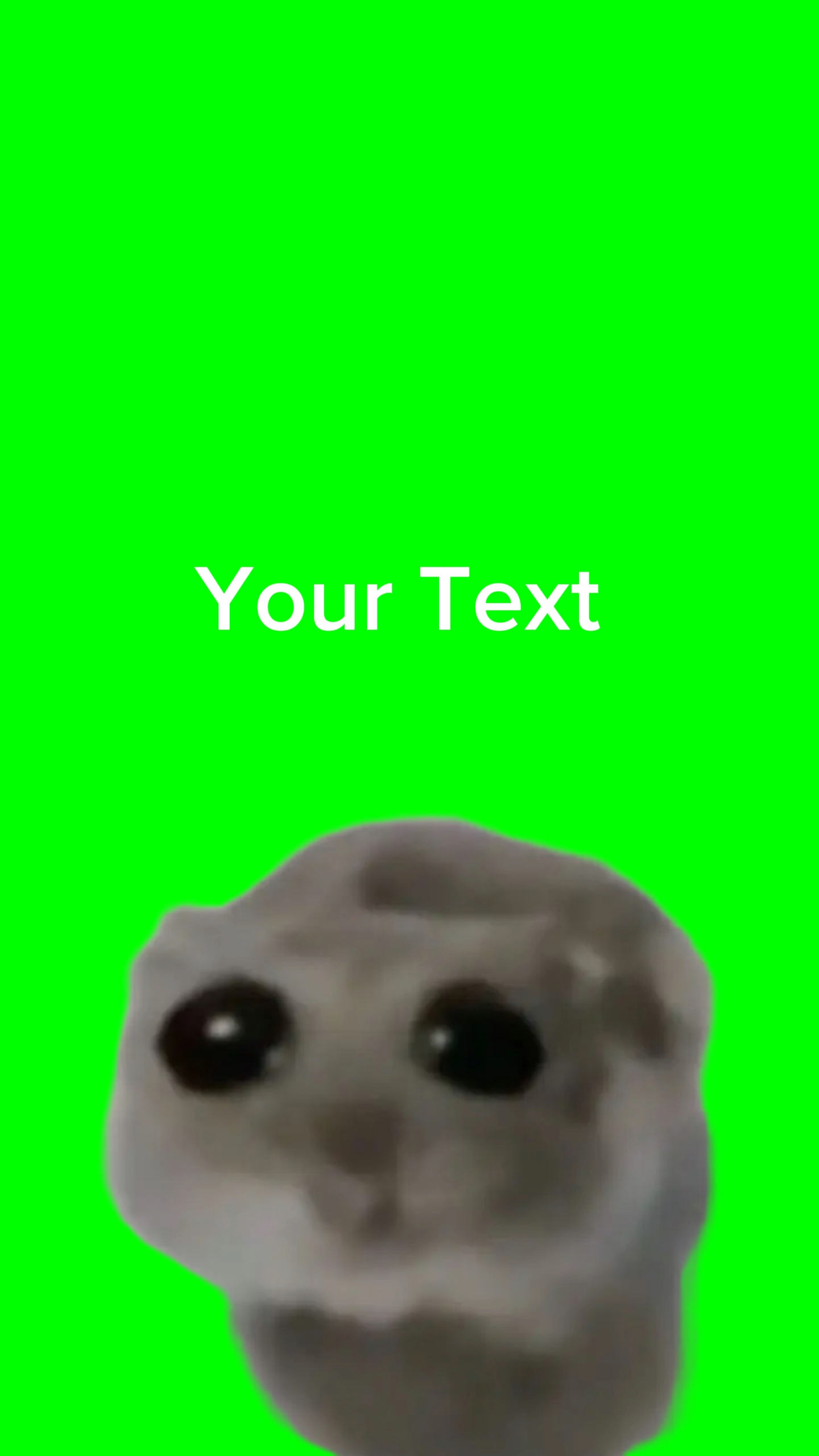 New Meme Trend
