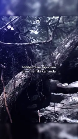 terlihat diam diam 