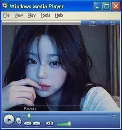 Windows Media Player